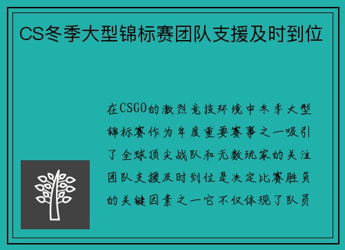CS冬季大型锦标赛团队支援及时到位